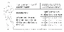 guia_de_talles_generica_-_superior_e_inferior_6e1c00b0-b088-4419-a44f-5e4d8a531e35-0f29af4846c8a767a717410342189273-1024-1024.webp