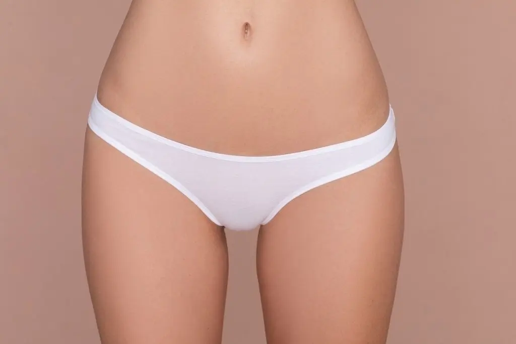 p0631-6e8c9c5c213a75a72f16236115001100-1024-1024.webp